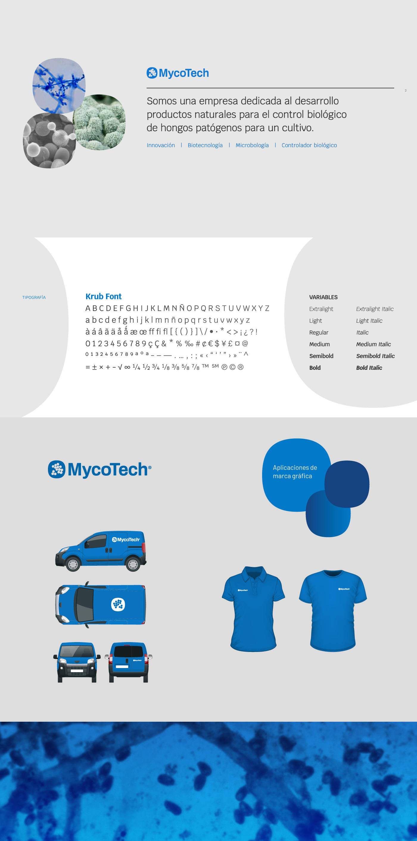 Rediseño de Website